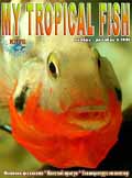 My Tropical Fish